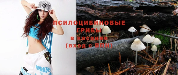 таблы Каменногорск