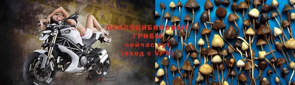 таблы Каменногорск